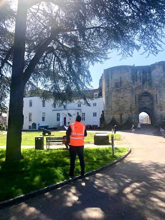 Tree surveying services Folkestone Kent Tree Surveying Services Folkestone Kent